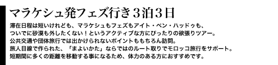 マラケシュ発フェズ行き３泊３日